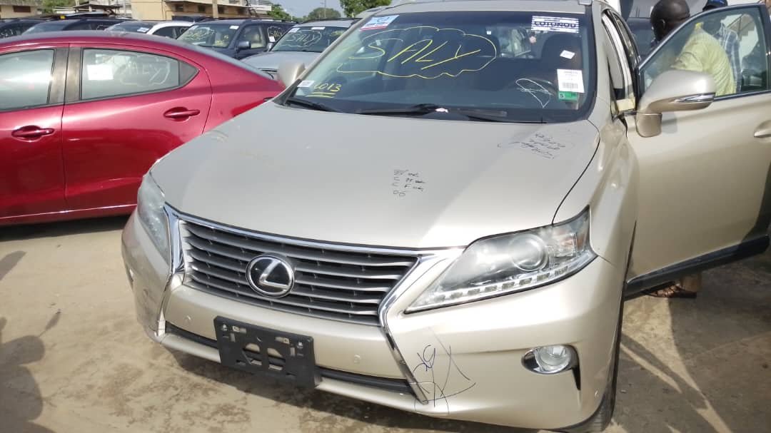 WhatsApp Image 2026-02-14 at 16.00.42 (1)