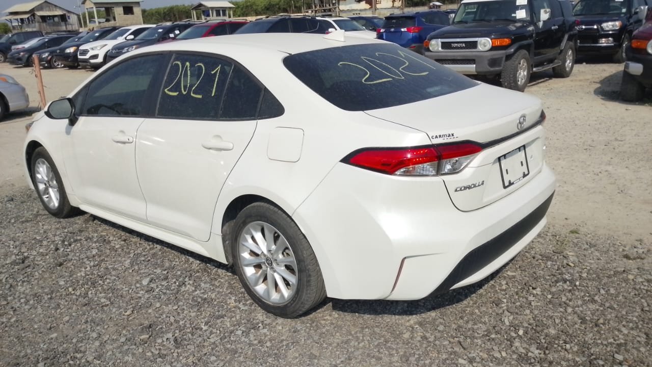 WhatsApp Image 2026-02-14 at 16.06.16