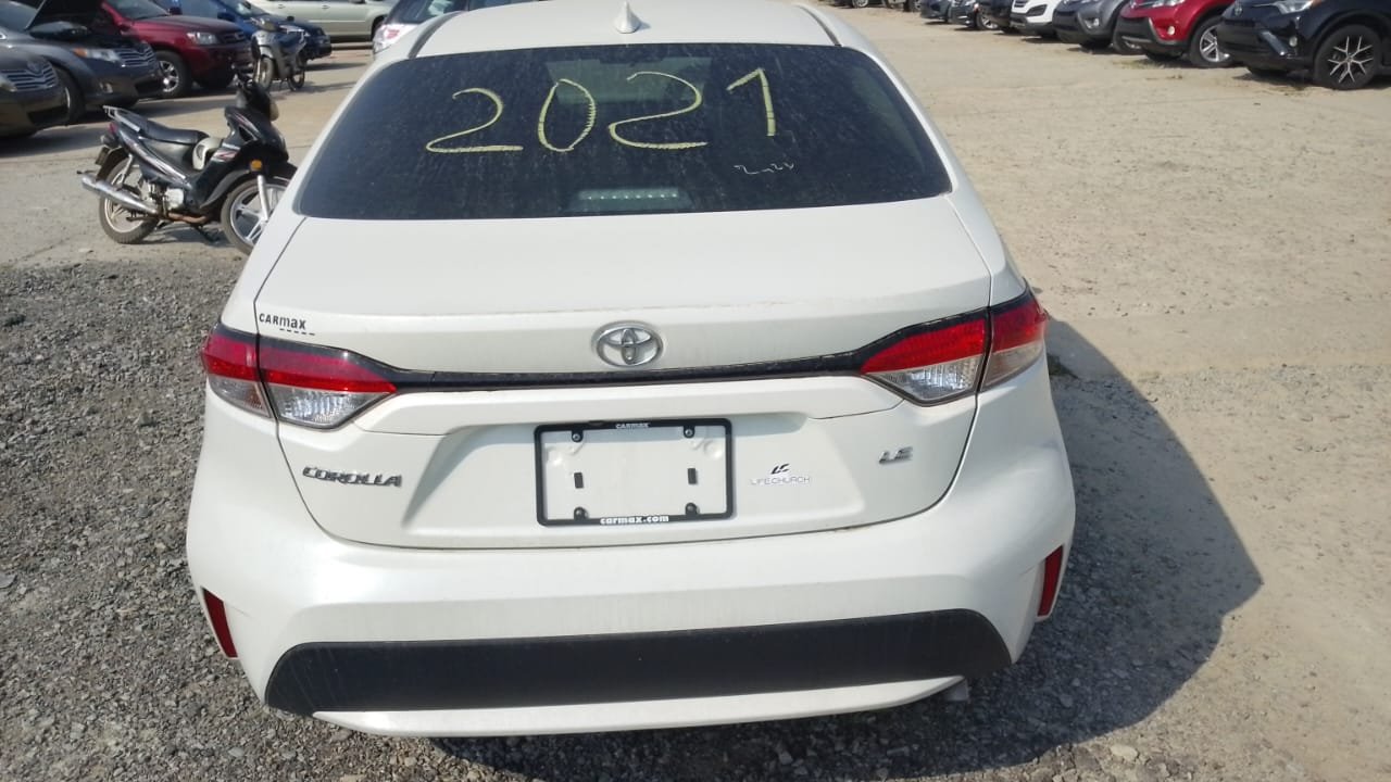 WhatsApp Image 2026-02-14 at 16.06.17