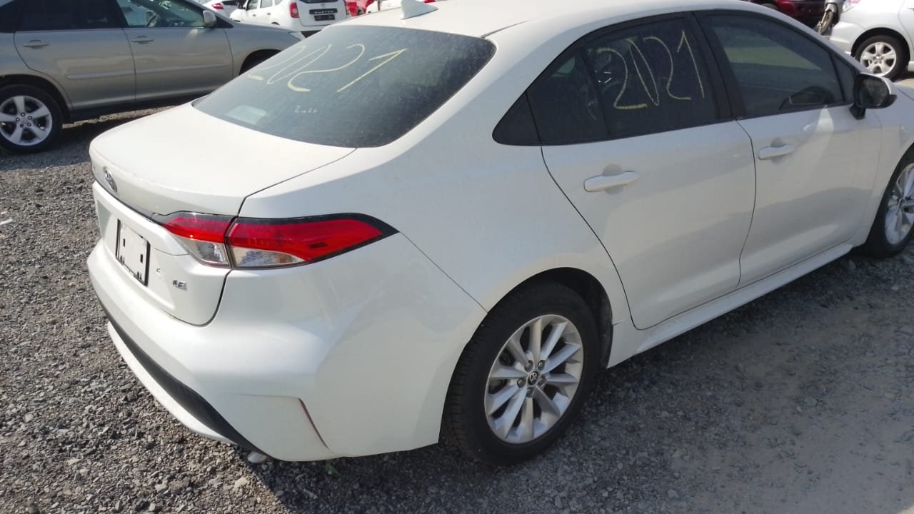 WhatsApp Image 2026-02-14 at 16.06.19