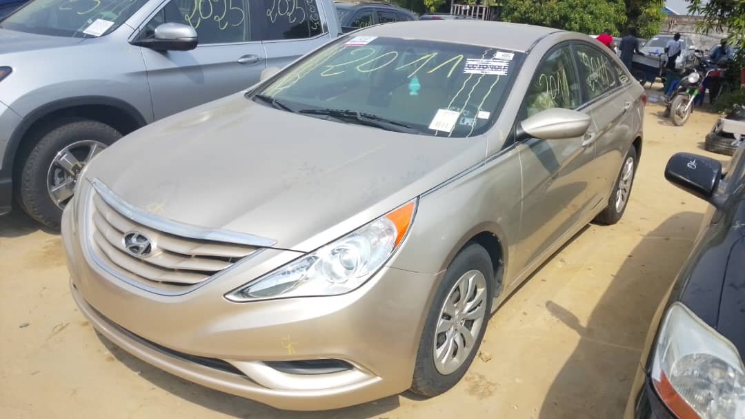 WhatsApp Image 2026-02-14 at 02.50.30