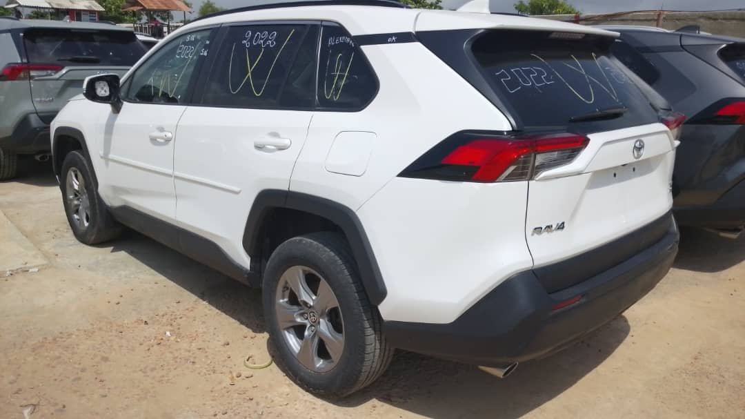 WhatsApp Image 2026-02-14 at 02.52.35