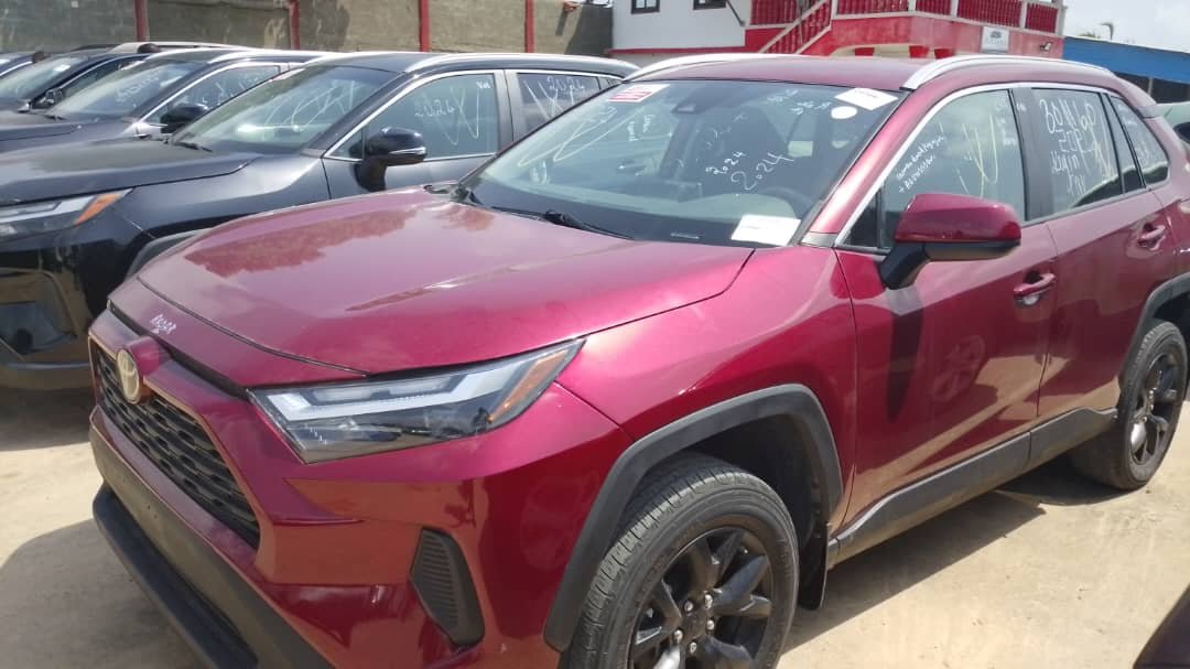 WhatsApp Image 2026-02-14 at 02.52.36 (1)