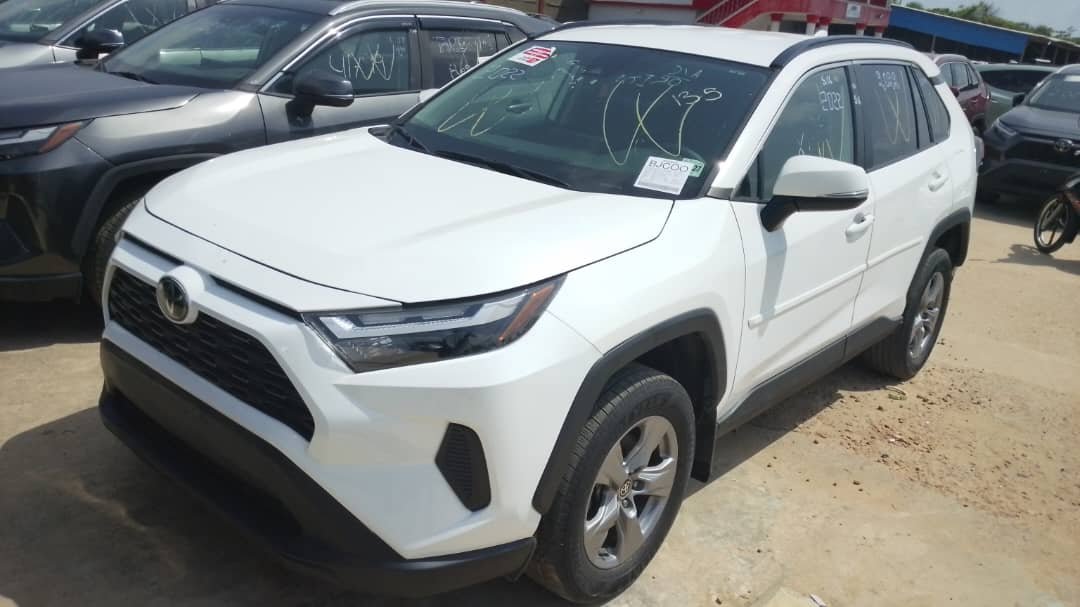 WhatsApp Image 2026-02-14 at 02.52.57